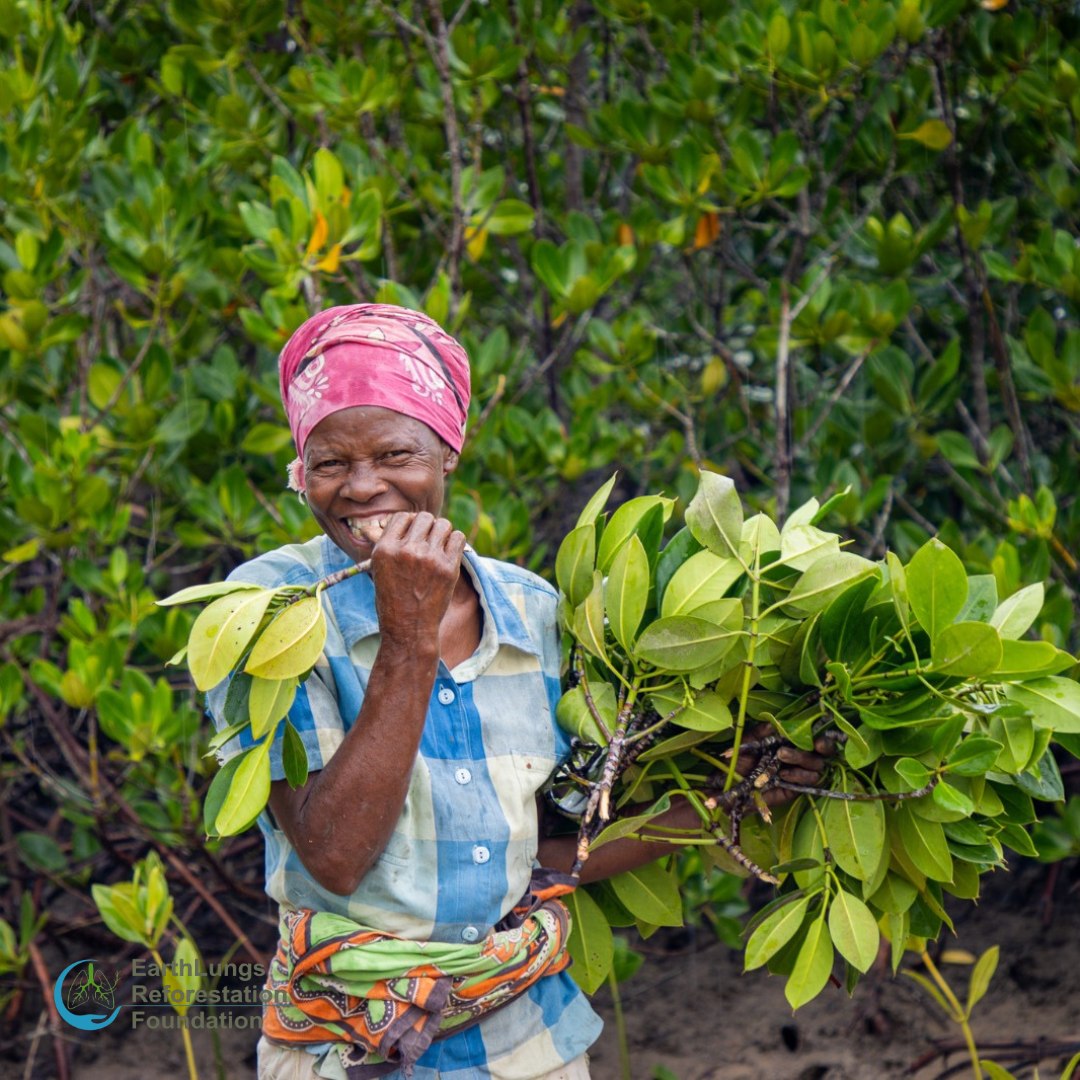 A team member . Employees are hired from the community, creating employment in the community as well as ensuring that the effort is sustainable over a long term.
