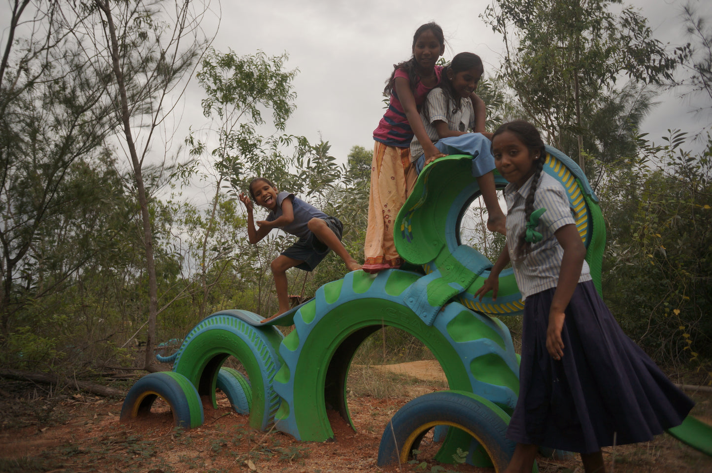 Asia: Plant native trees in Tamil Nadu, India
