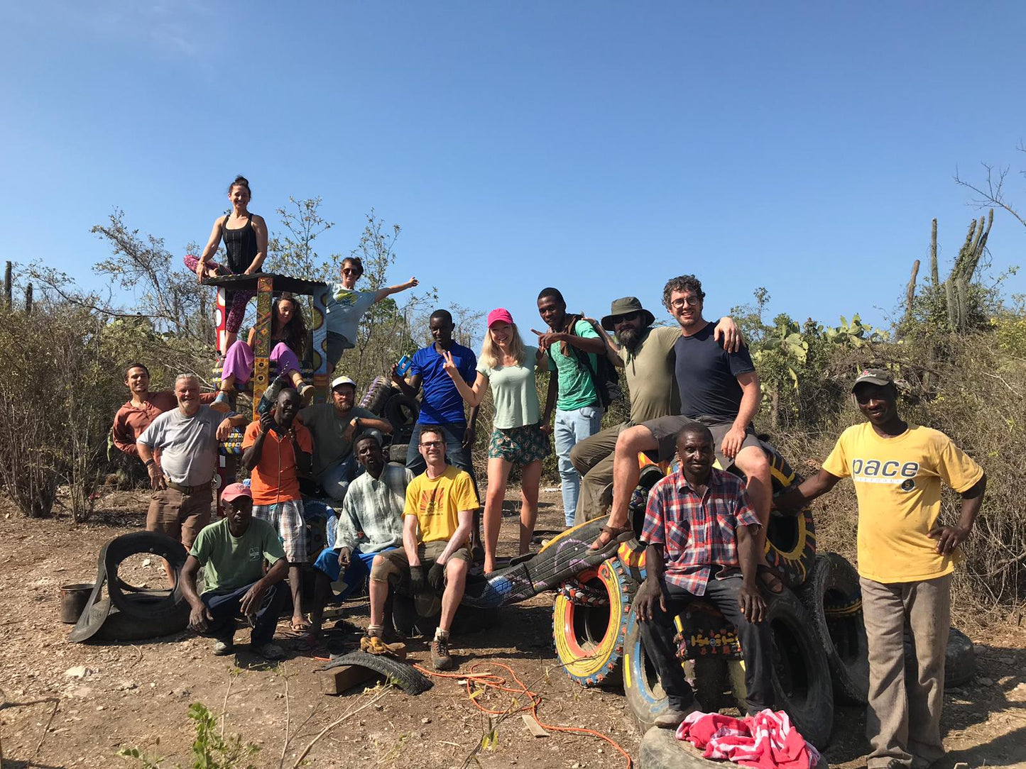 Americas: Plant Food bearing trees in Haiti