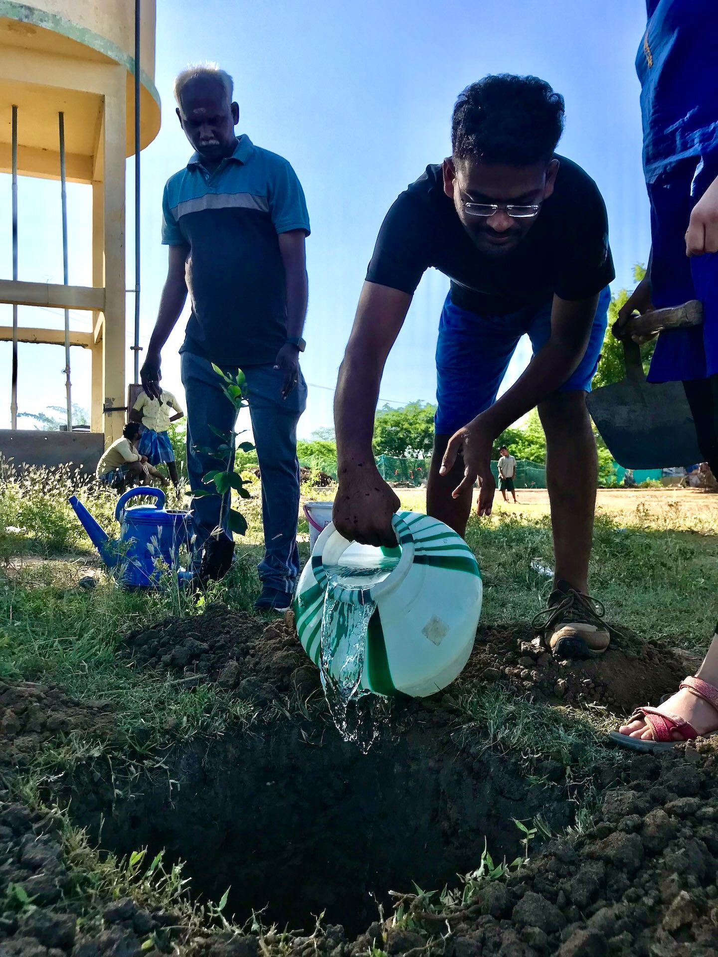 Asia: Plant food bearing trees in Tamil Nadu, India