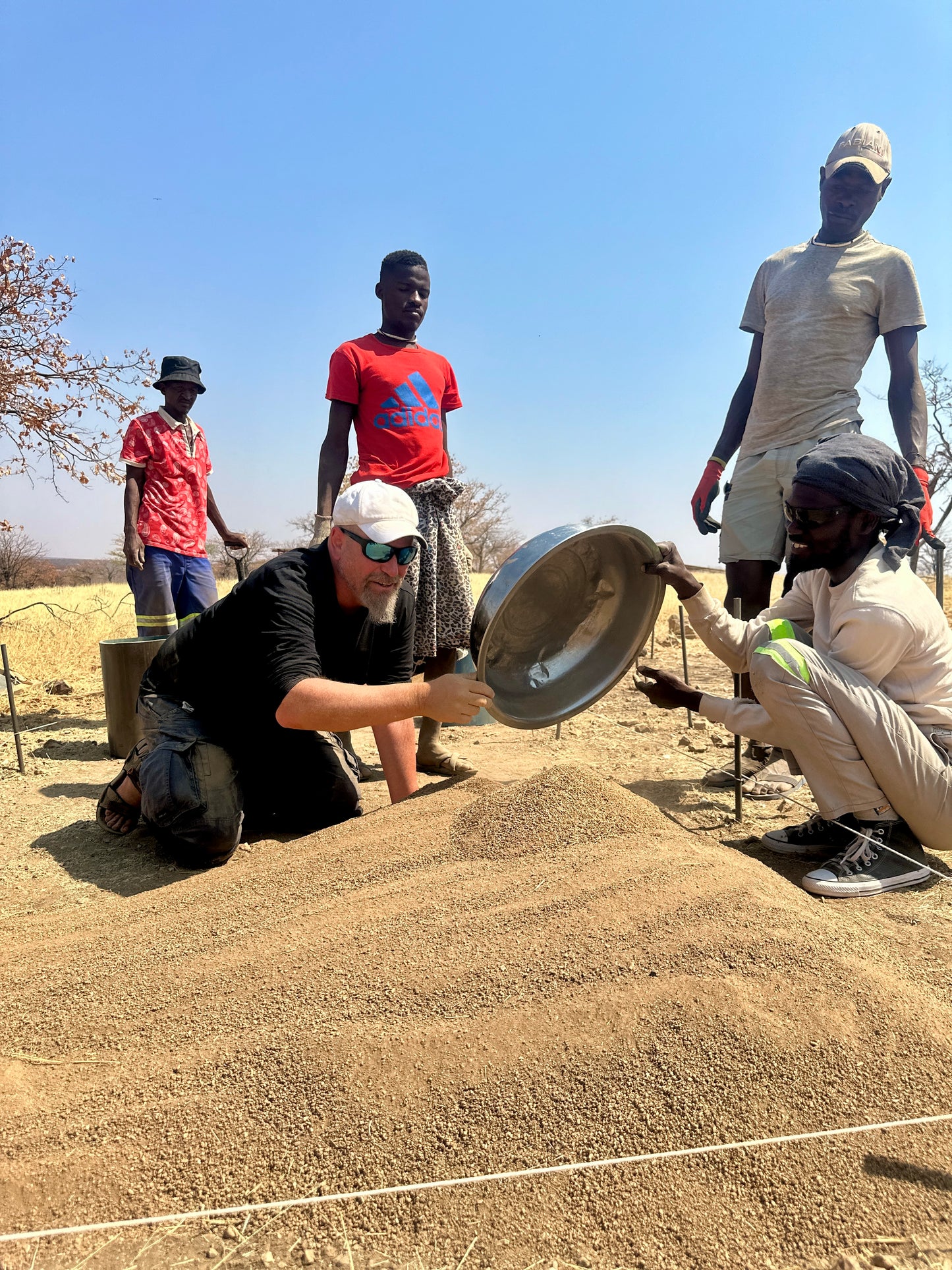 Africa: Plant food bearing trees in Namibia