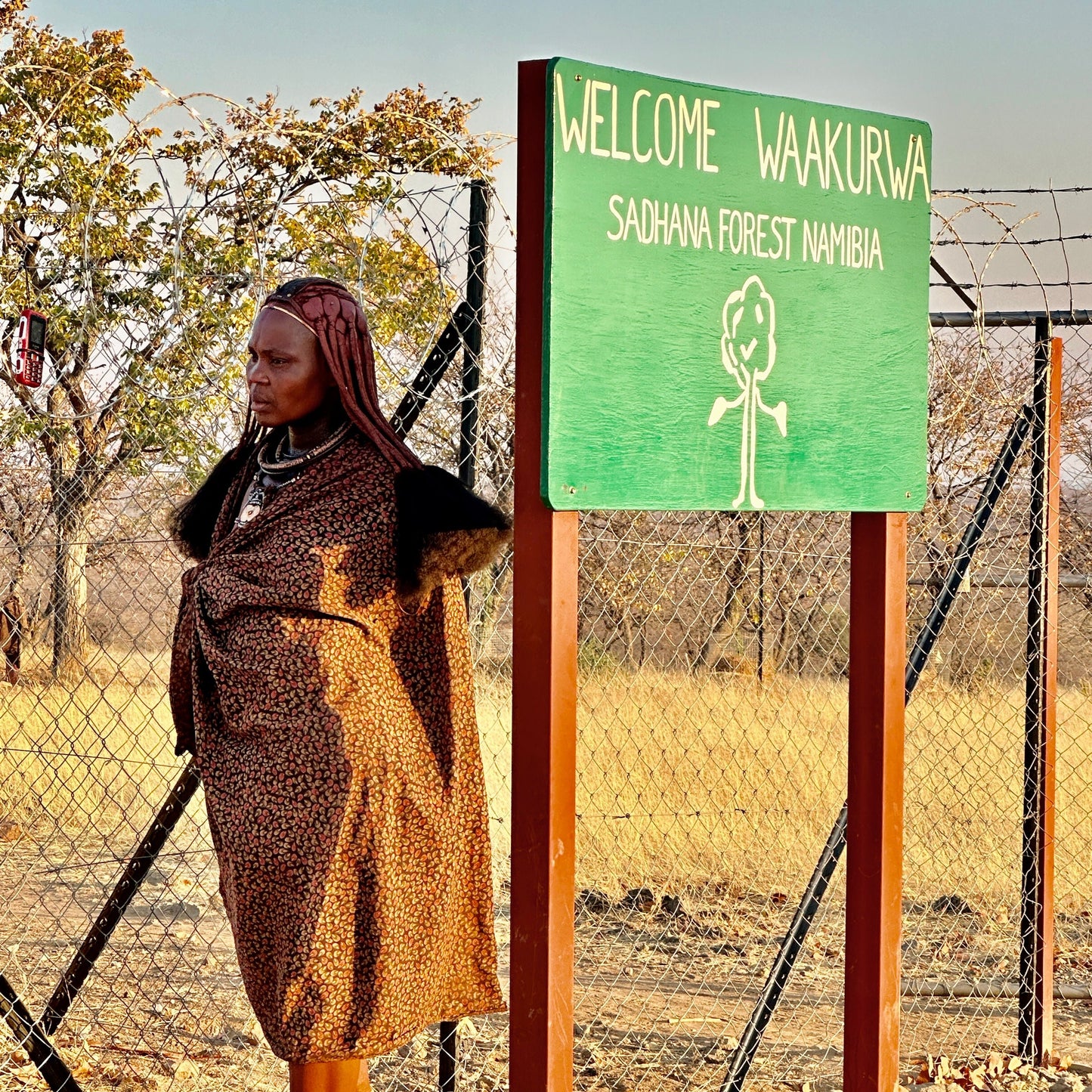 Africa: Plant food bearing trees in Namibia