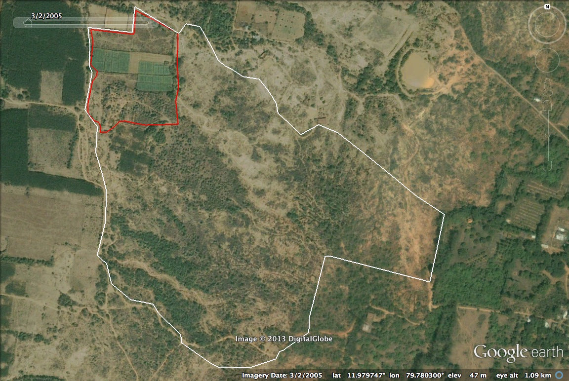 Asia: Plant native trees in Tamil Nadu, India