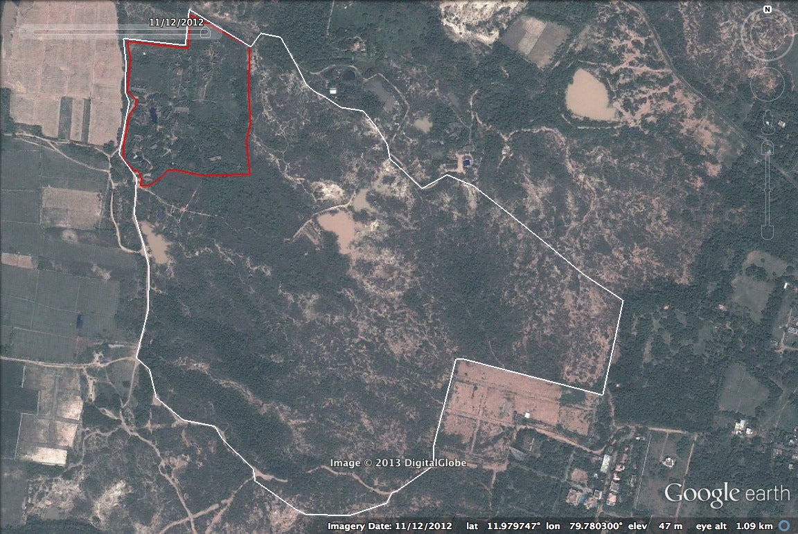 Asia: Plant native trees in Tamil Nadu, India