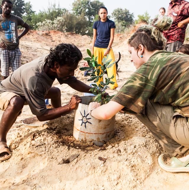 Asia: Plant native trees in Tamil Nadu, India