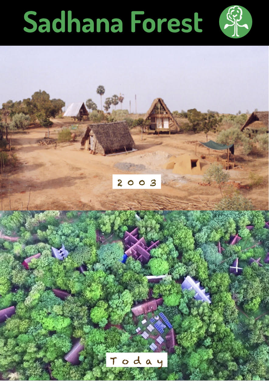 Asia: Plant native trees in Tamil Nadu, India