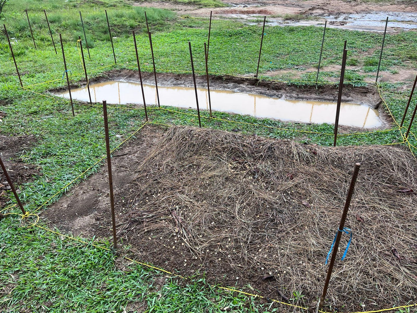 Asia: Plant native trees in Meghalaya, India