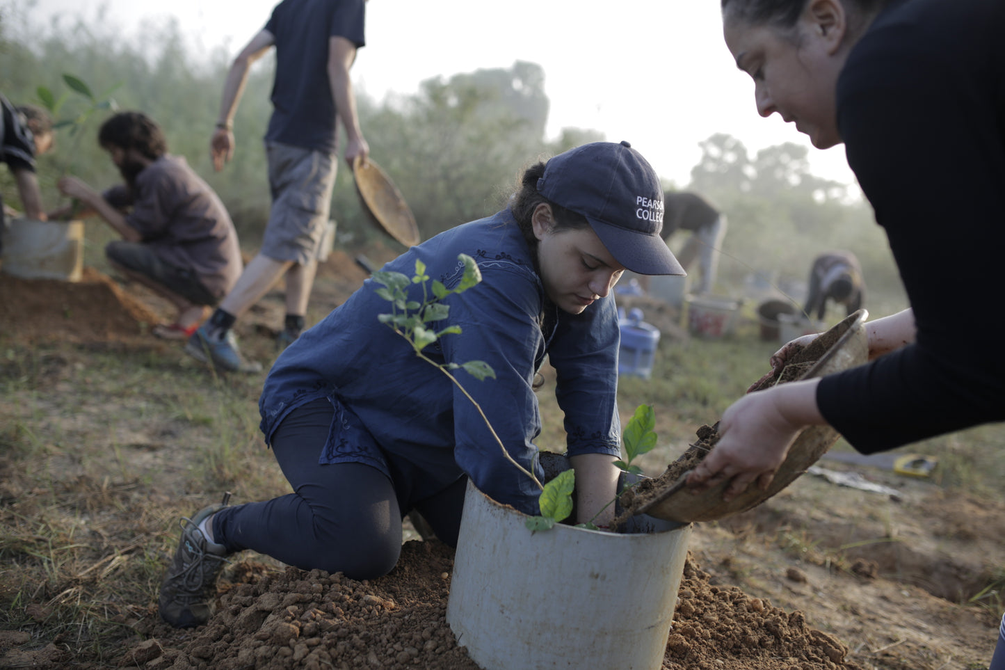 Asia: Plant native trees in Tamil Nadu, India