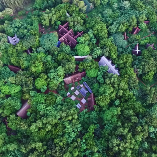 Asia: Plant native trees in Tamil Nadu, India