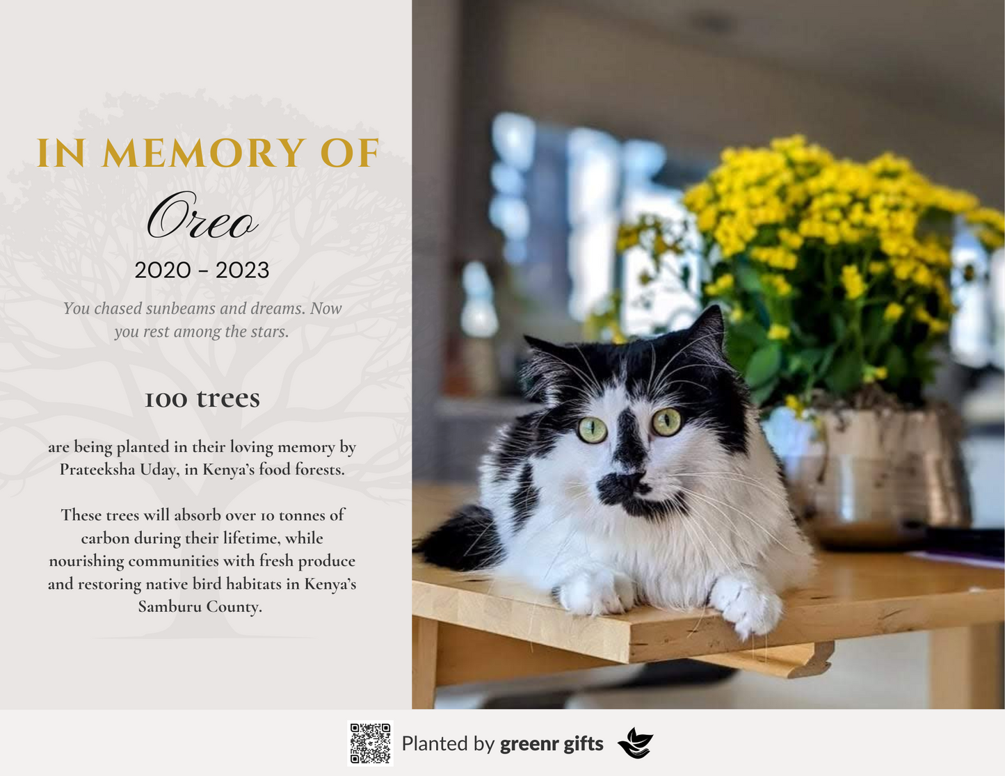 Memorialize a pet