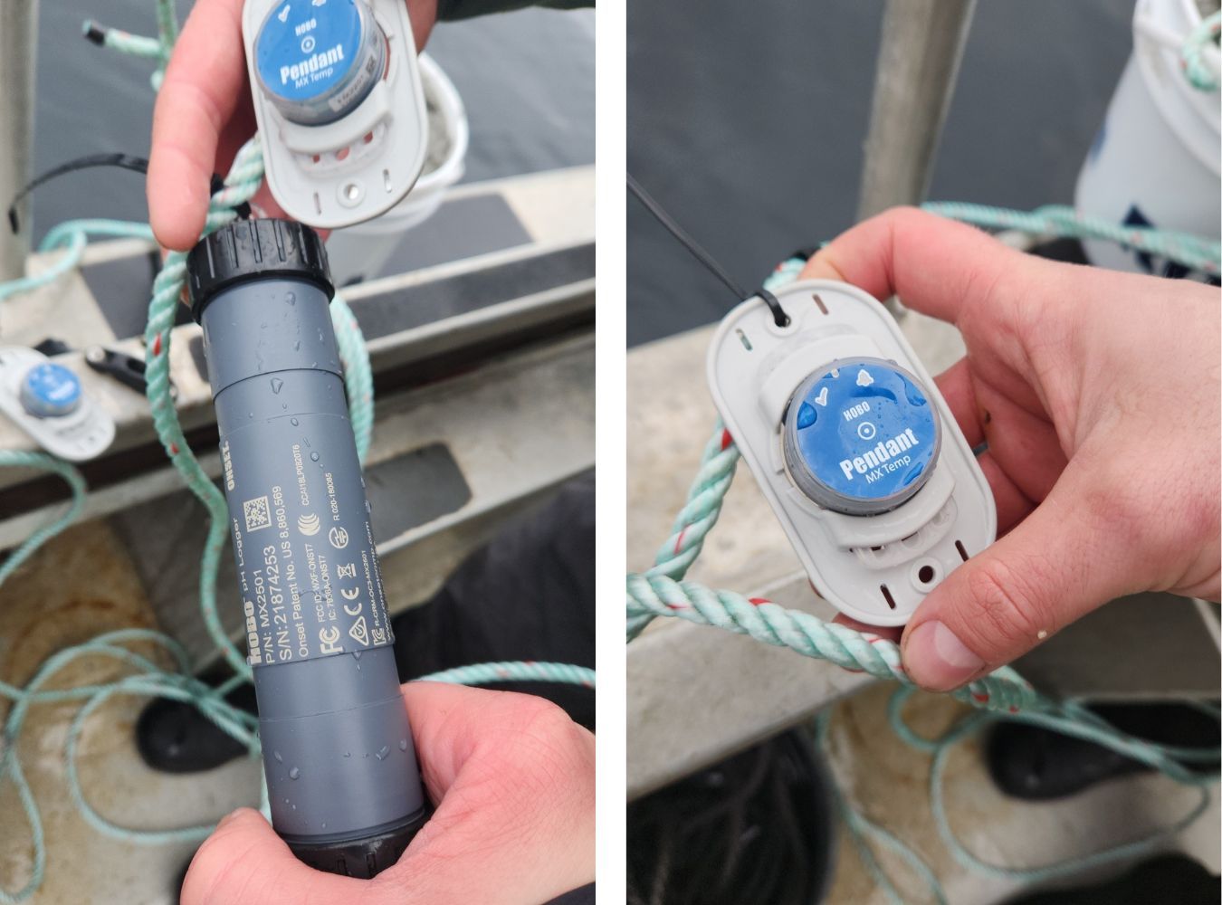 The Veritree team deploys pH sensors to monitor pH levels of water. Kelp prefers a pH range between 7.5 and 9.0. This is considered a slightly alkaline to alkaline environment. pH influences various biochemical processes, including nutrient availability and enzymatic reactions.