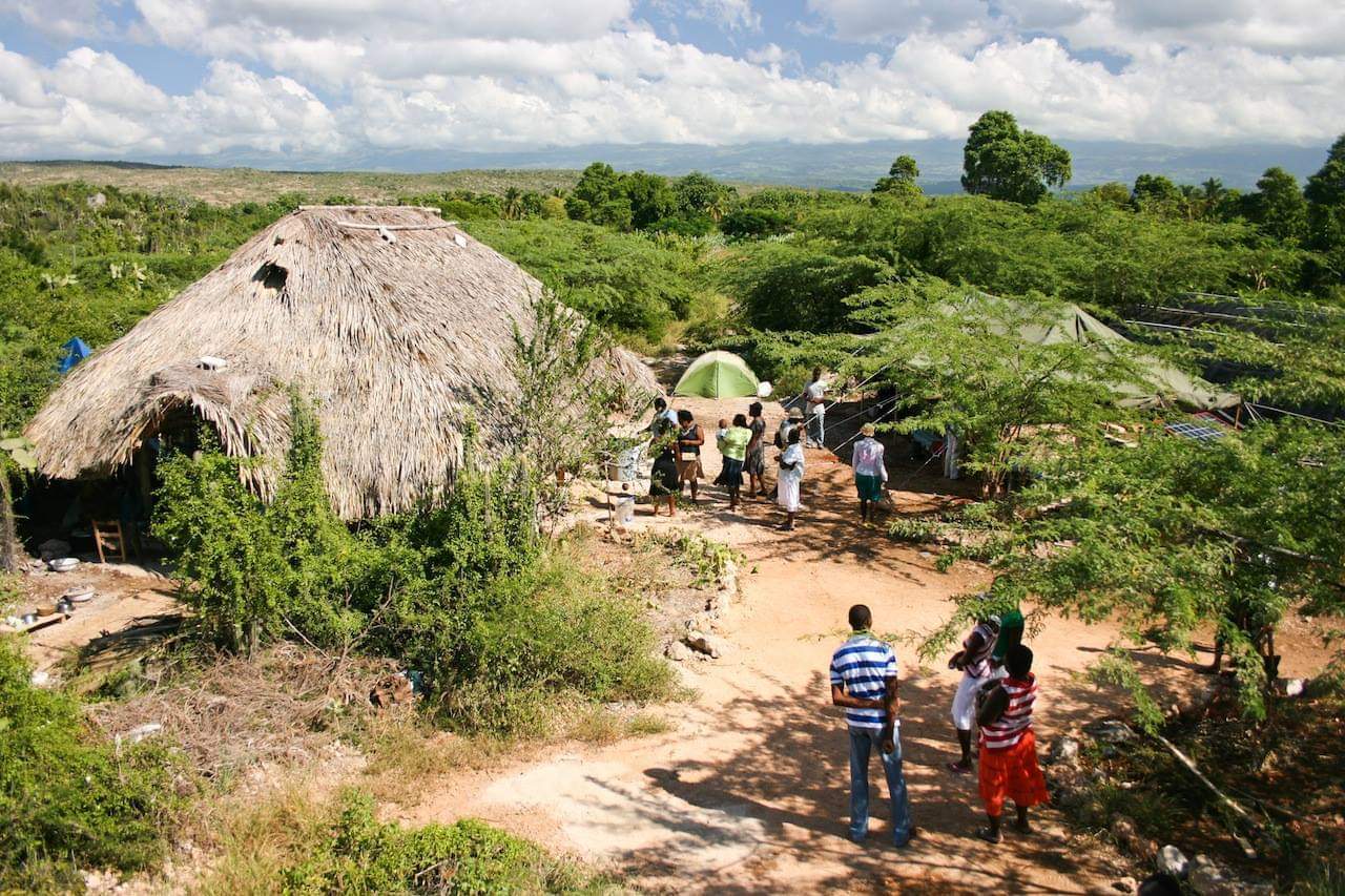 Americas: Plant Food bearing trees in Haiti