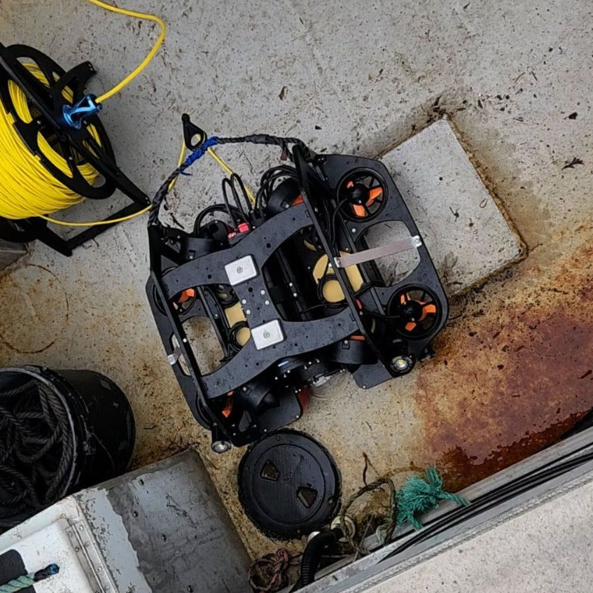 In addition to sensors, the Veritree team also deploys ROVs(Remotely Operated Vehicles) to collect substrate data, to look at the local flora and fauna and particulate at the site. By recording this information, we can compare the findings over the course of the kelp production. The ROVs deployed can go as deep as 1,000 feet and uses an HD camera with 4x 8,000 lumen lights on it!