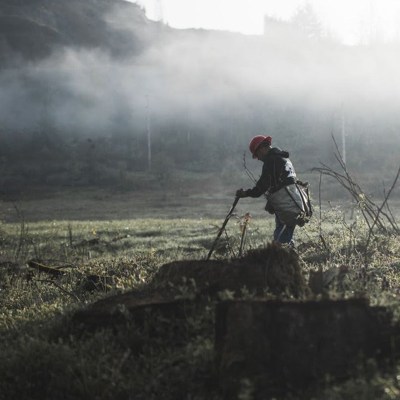 Americas: Plant trees in Oregon's Forests