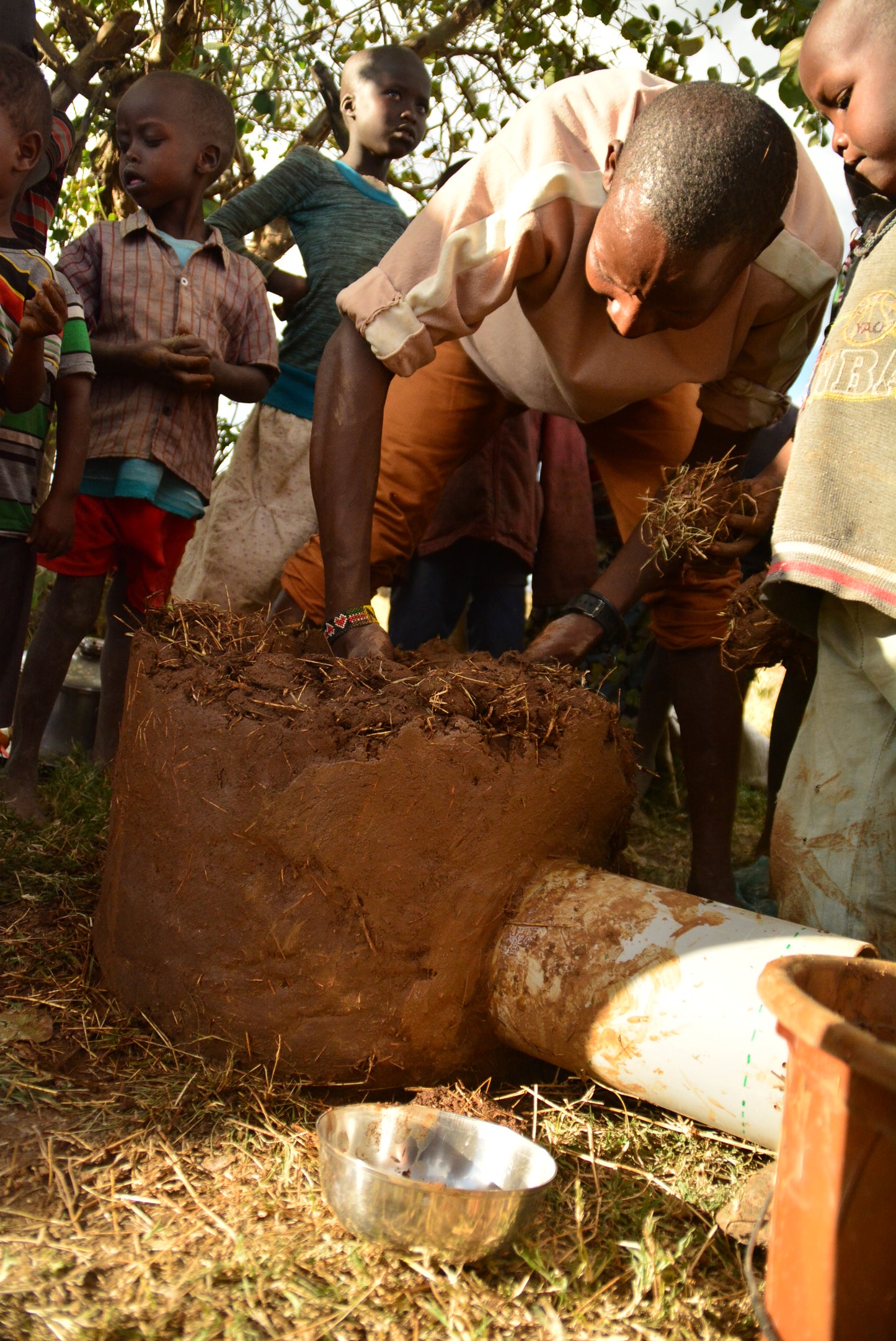 Africa: Plant food bearing trees in Kenya