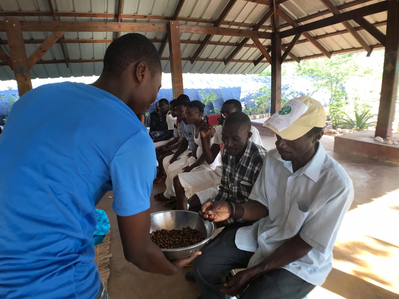 Africa: Plant food bearing trees in Kenya