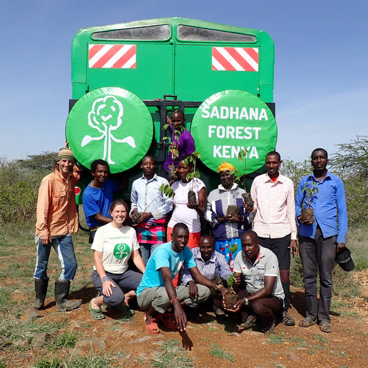 Africa: Plant food bearing trees in Kenya