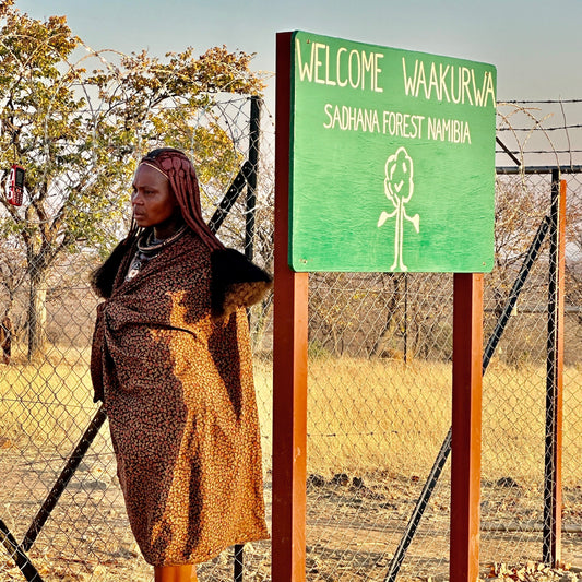 Africa: Plant food bearing trees in Namibia