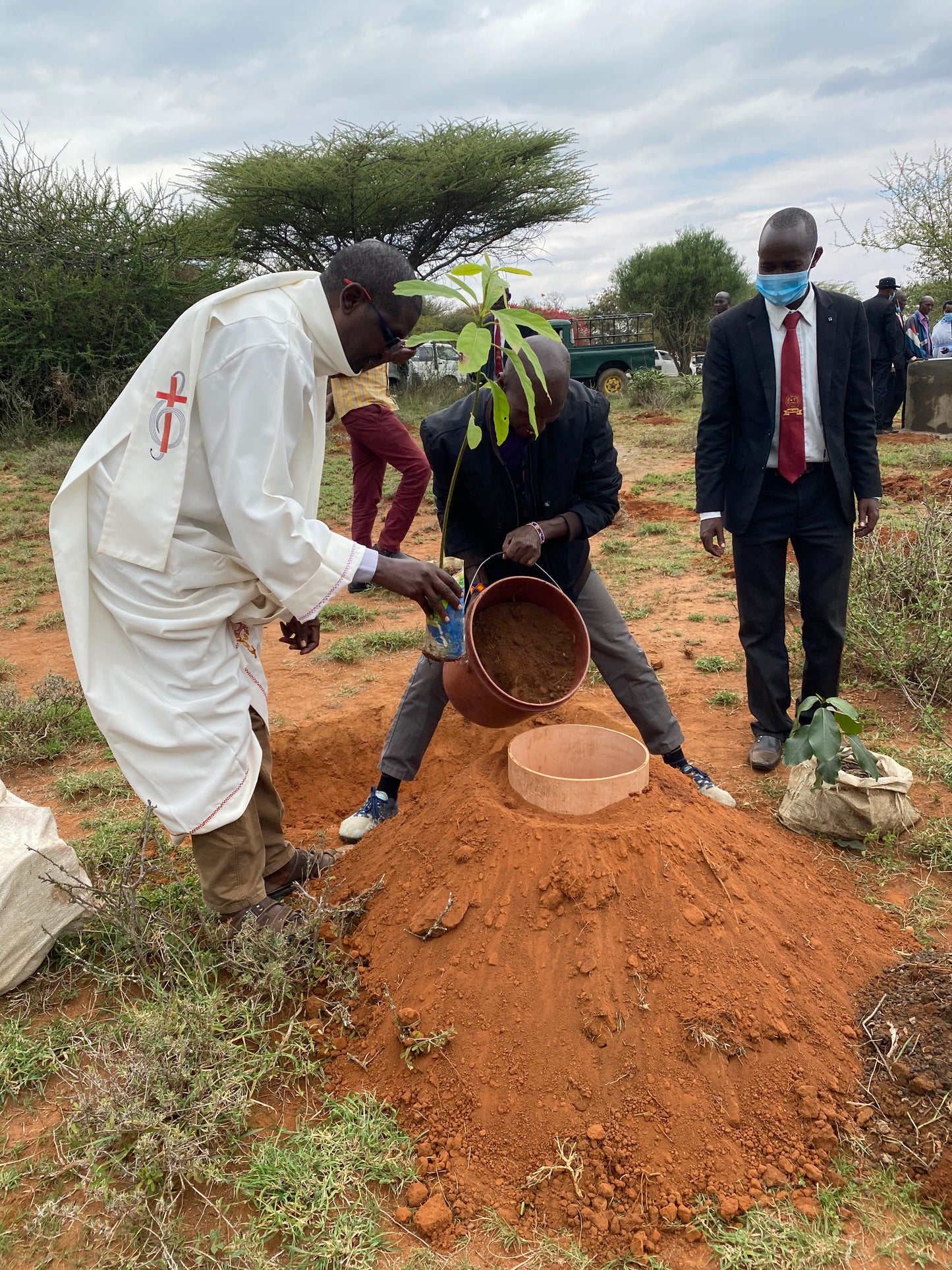 Africa: Plant food bearing trees in Kenya