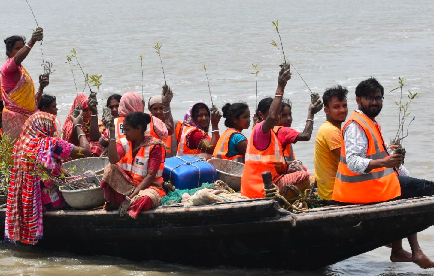 Asia: Plant Mangroves in Sundarban, India