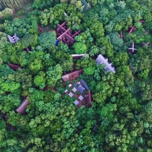 Asia: Plant native trees in Tamil Nadu, India