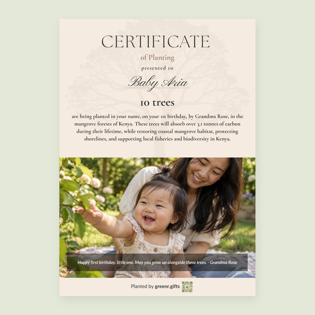 Example certificate for Green Beginning - 1st birthday: 10 trees planted in Baby Aria's name, with a photo and a personal note