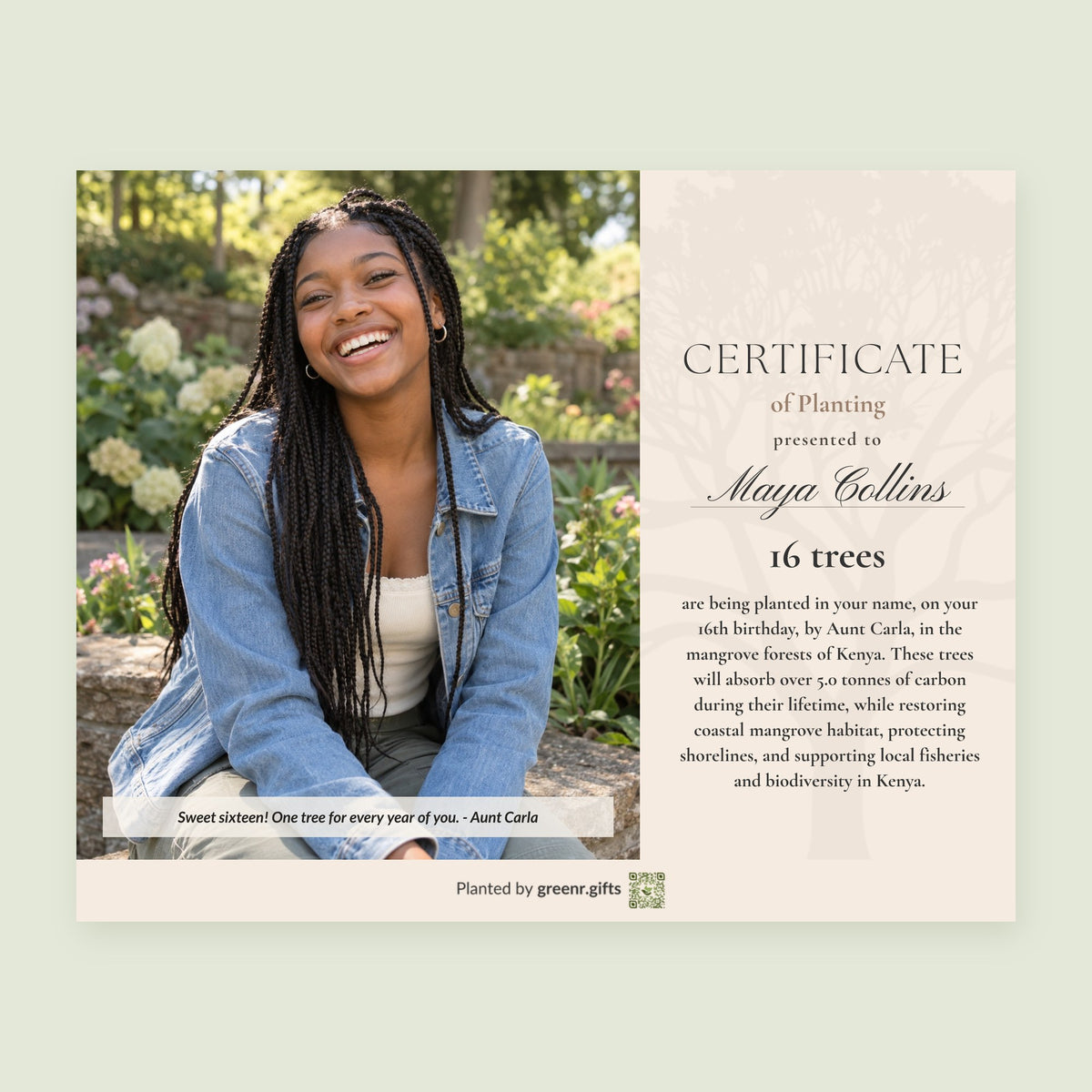 Example certificate for Sweet Six-Tree-n Grove - 16 trees for 16th birthday: 16 trees planted in Maya Collins's name, with a photo and a personal note
