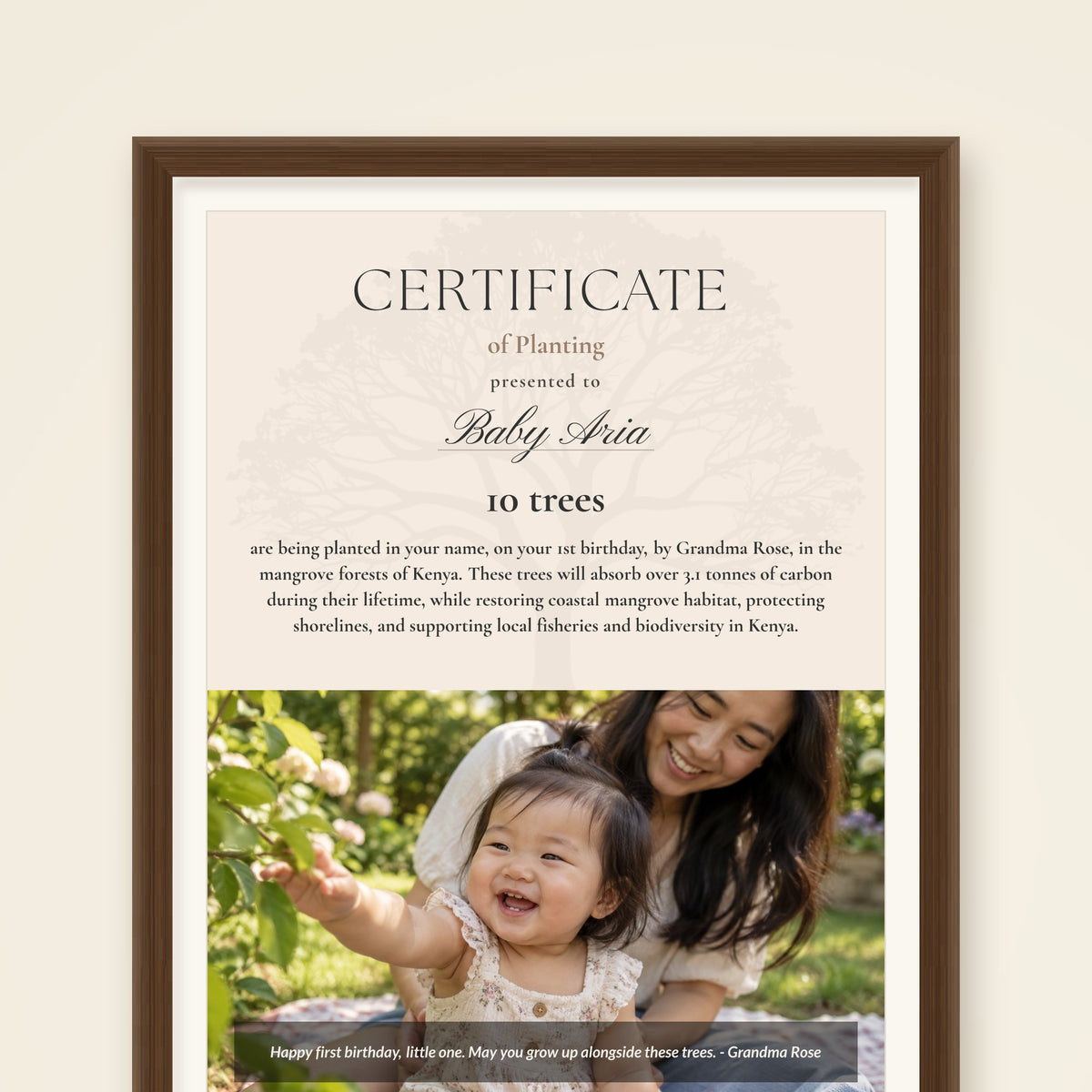Green Beginning - 1st birthday certificate printed and framed: every certificate comes as a high-resolution file to print and frame at home
