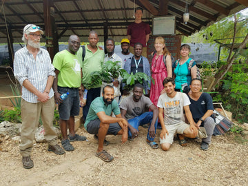 Planting project: food forests in haiti