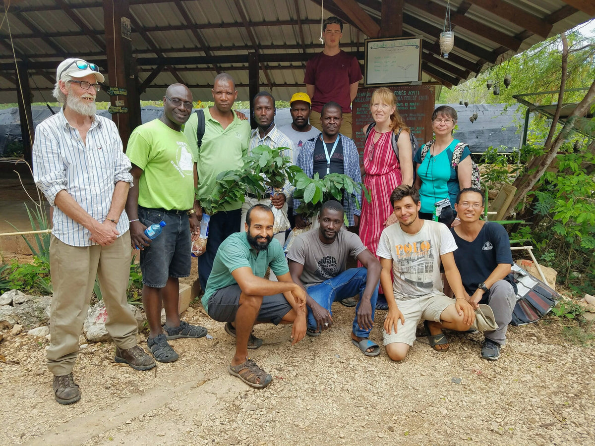 Planting project: food forests in haiti