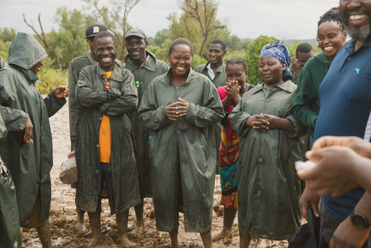 Planting project: mangrove restoration in kenya