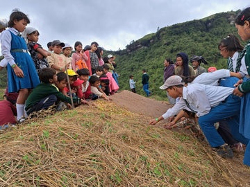 Planting project: reforestation in meghalaya india