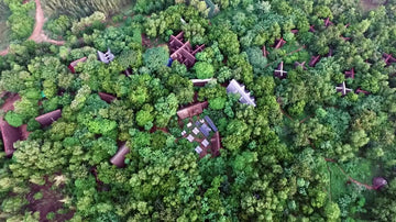 Planting project: reforestation in tamil nadu india