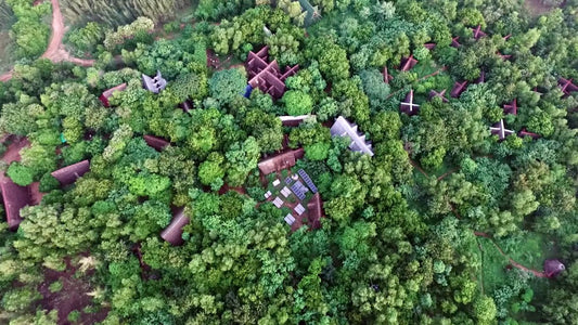 Planting project: reforestation in tamil nadu india