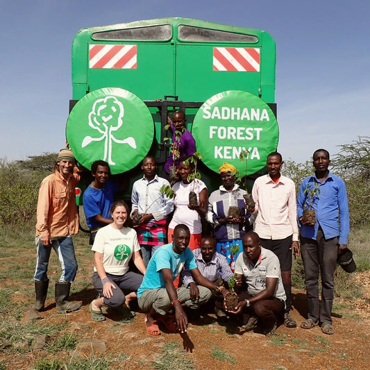 Africa: Plant food bearing trees in Kenya