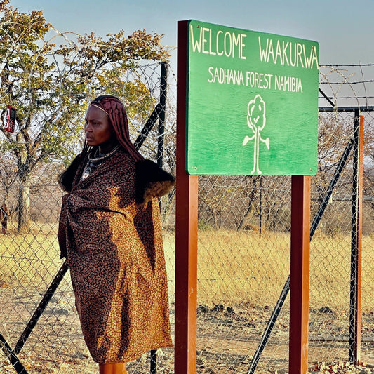 Africa: Plant food bearing trees in Namibia