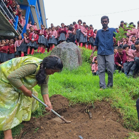Asia: Plant native trees in Meghalaya, India