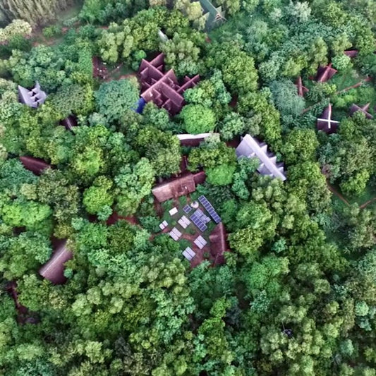 Asia: Plant native trees in Tamil Nadu, India